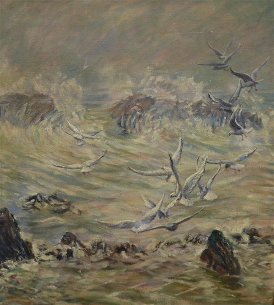 Ben Callow, oil on board, seagulls